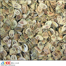 Load image into Gallery viewer, Angelica Dried (Golpar) - AZeeMall