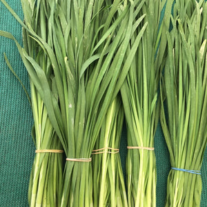 Middle Eastern Leek Chive Herbs Dried,  2 x 30g - AZeeMall