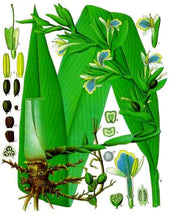 Load image into Gallery viewer, Green Cardamom, 40g - AZeeMall
