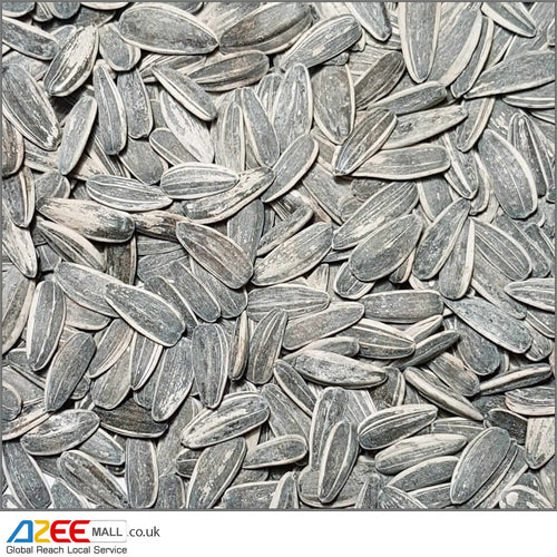 Sunflower Seeds (Roasted, Lightly Salted in Shell), 400g - AZeeMall